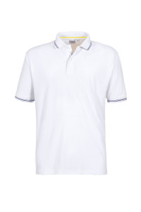 World ARC 2024/25 Mens Bay Technical Polo Shirt -White/blue stripe