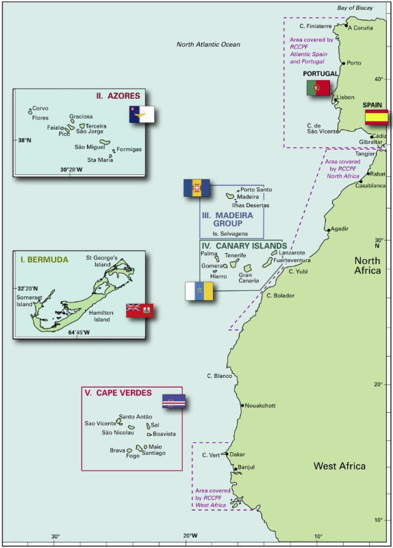ISLAS ATLÁNTICAS - séptima edición