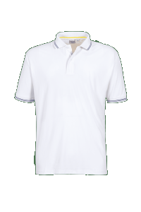 ARC Plus 2022 Mens Bay Technical Polo Shirt -White/blue stripe
